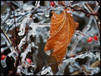 When icicles hang on the wall, etc.