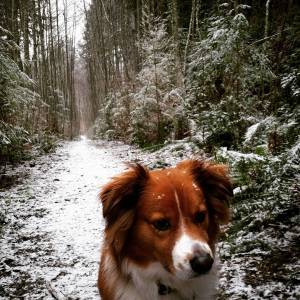 981246_10153834874322579_3497125513906326270_o